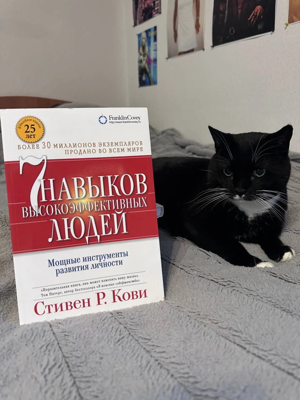 "7 навыков высокоэффективных людей" Стивен Кови - миниатюра 4