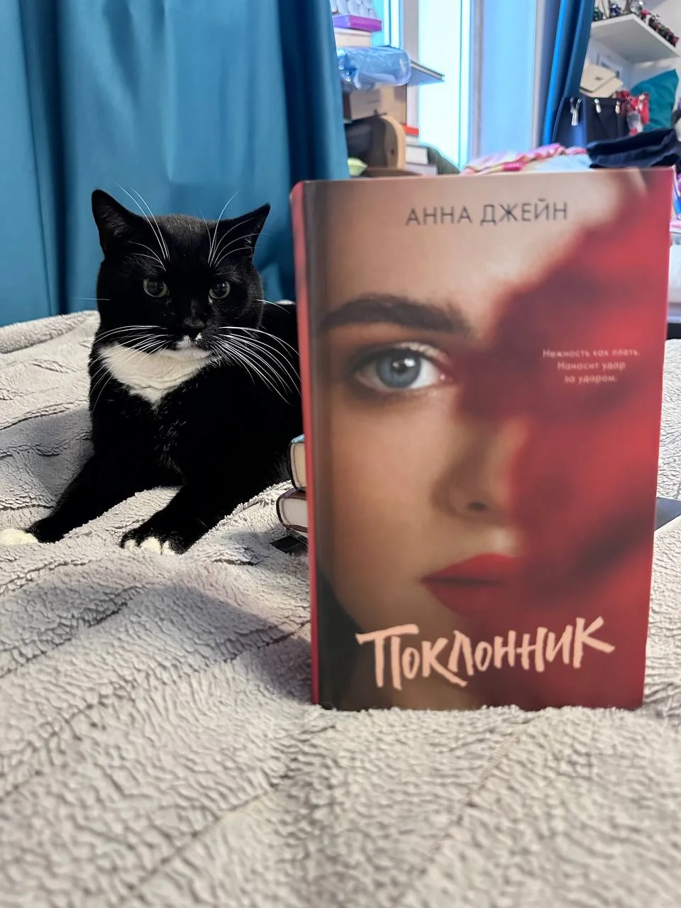 "Поклонник" Анна Джейн - миниатюра 4
