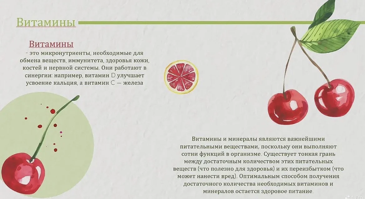 Презентации, проекты, документы, таблицы на заказ - миниатюра 28