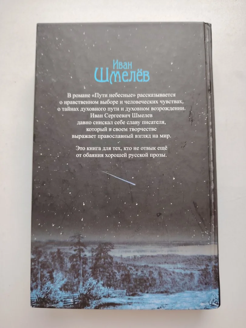 Шмелёв И. С. «Пути небесные» - миниатюра 5
