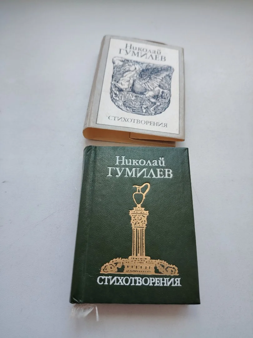 Гумилёв Н. Стихотворения - миниатюра 2
