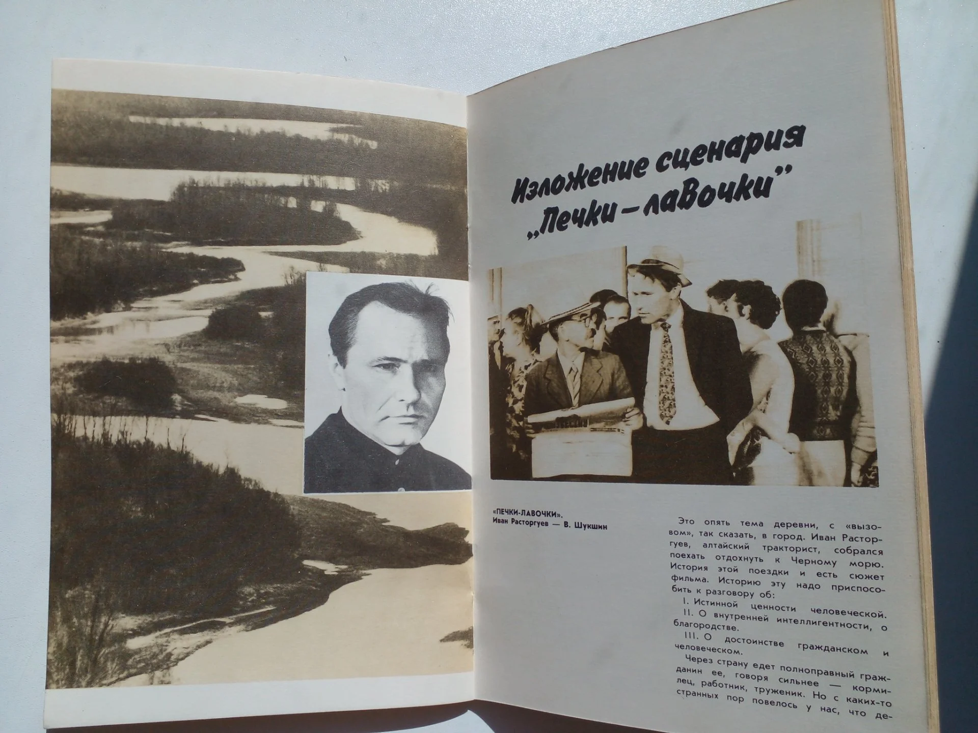 Шукшин В. М. «Слово о «малой родине» - миниатюра 2