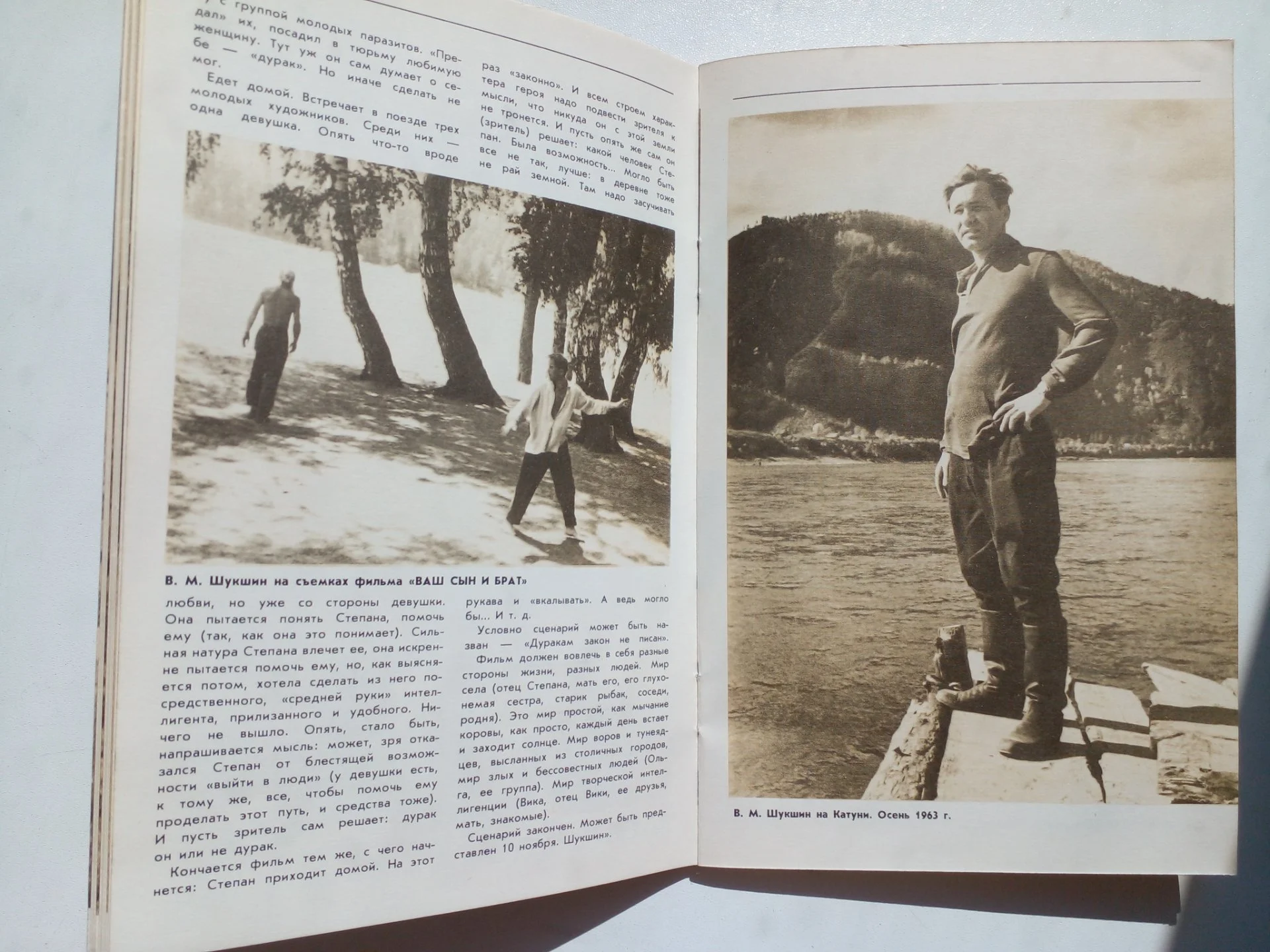 Шукшин В. М. «Слово о «малой родине» - миниатюра 3