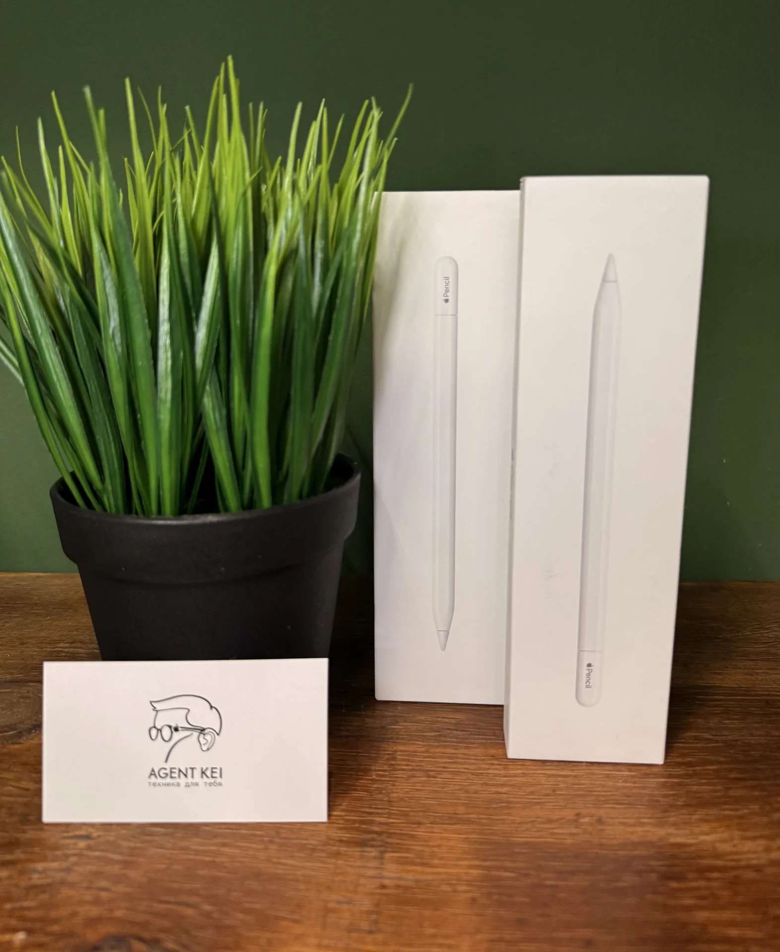 Apple Pencil USB-C( 3-тье поколение) - изображение 1
