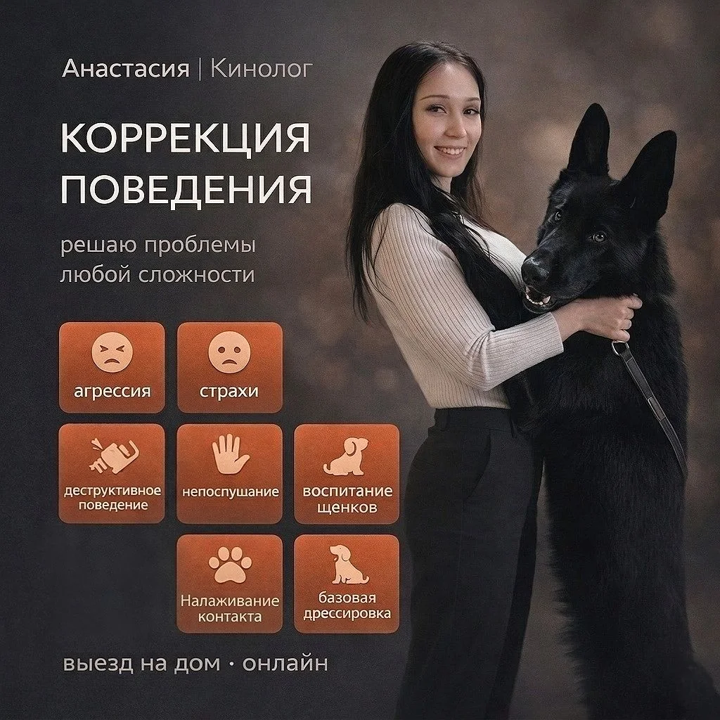 Кинолог - изображение 1