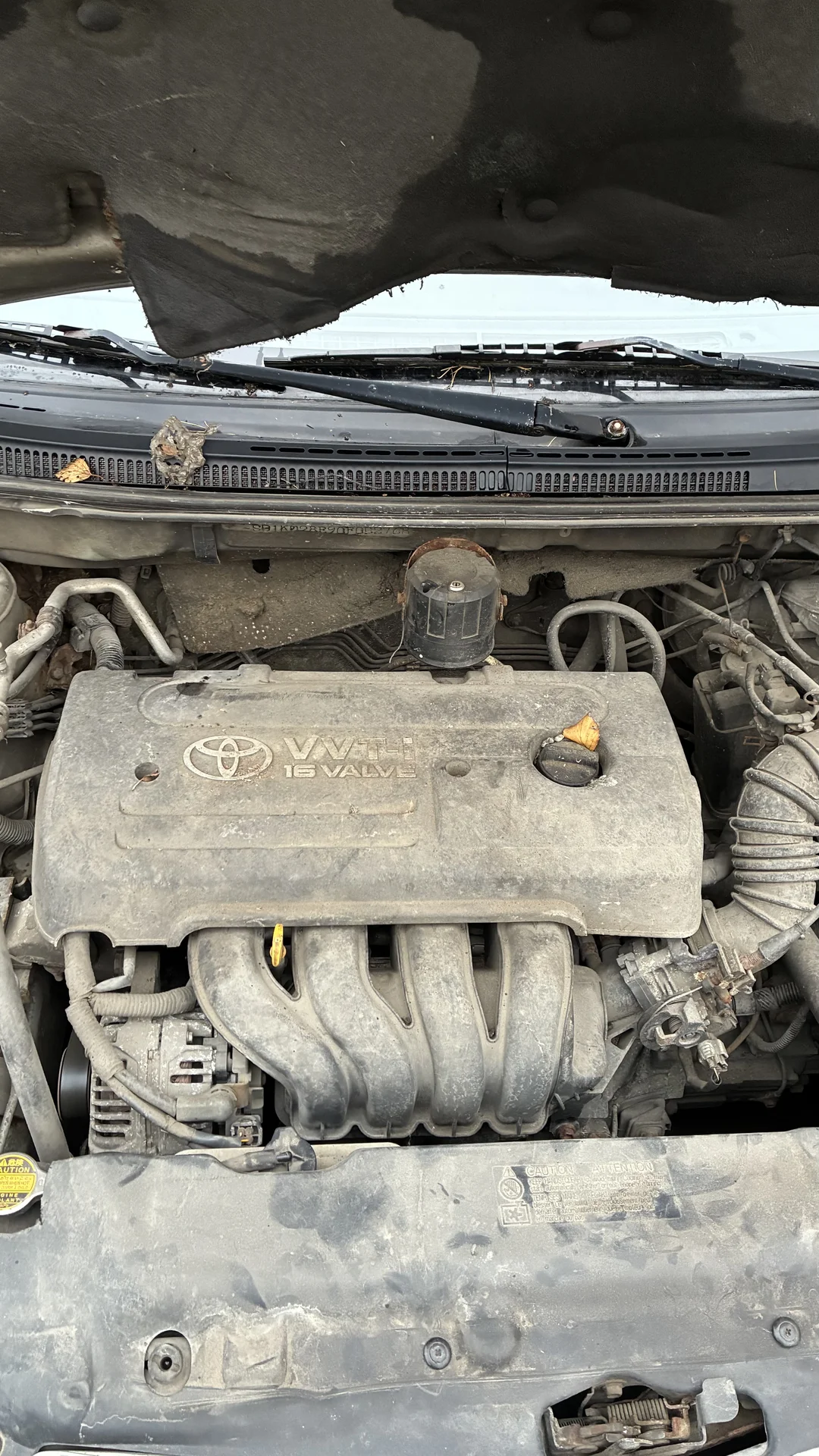 Toyota Corolla • 2006 год • Один владелец • Пробег - миниатюра 18