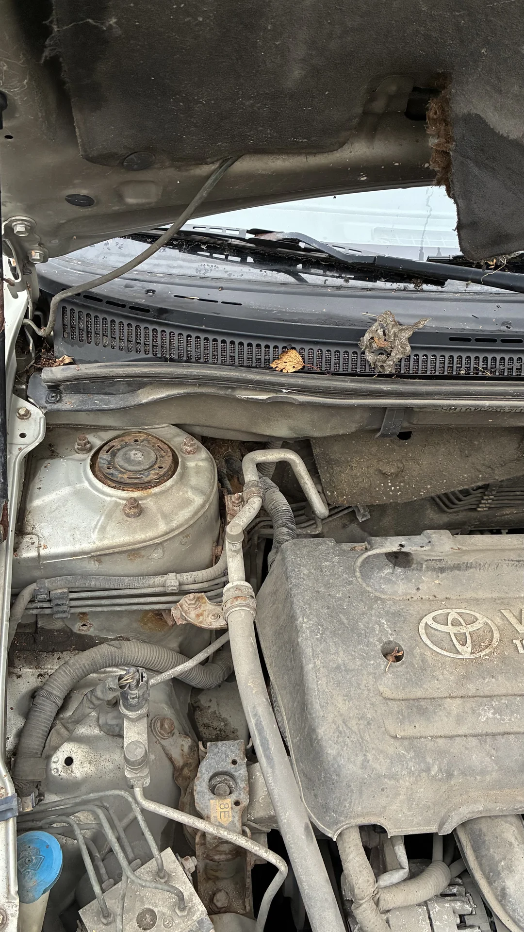 Toyota Corolla • 2006 год • Один владелец • Пробег - миниатюра 19