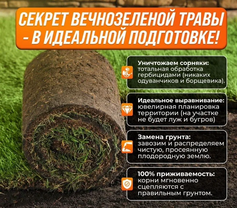 Укладка рулонного газона. Рулонный газон за 24ч - миниатюра 2