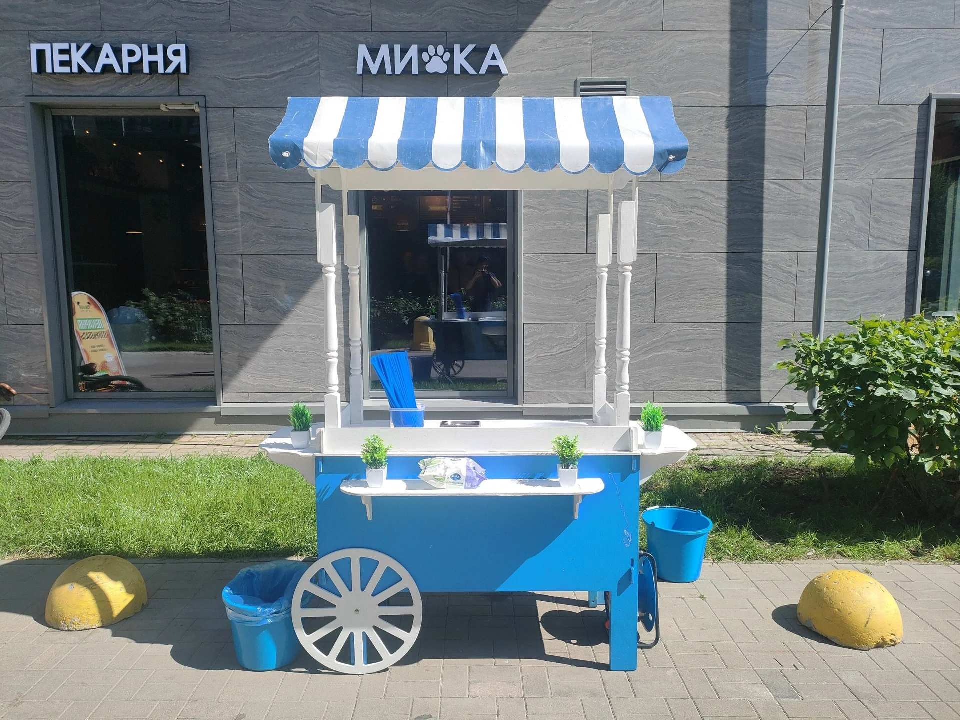 Сладкая вата,попкорн,горячая кукуруза на праздник - миниатюра 7