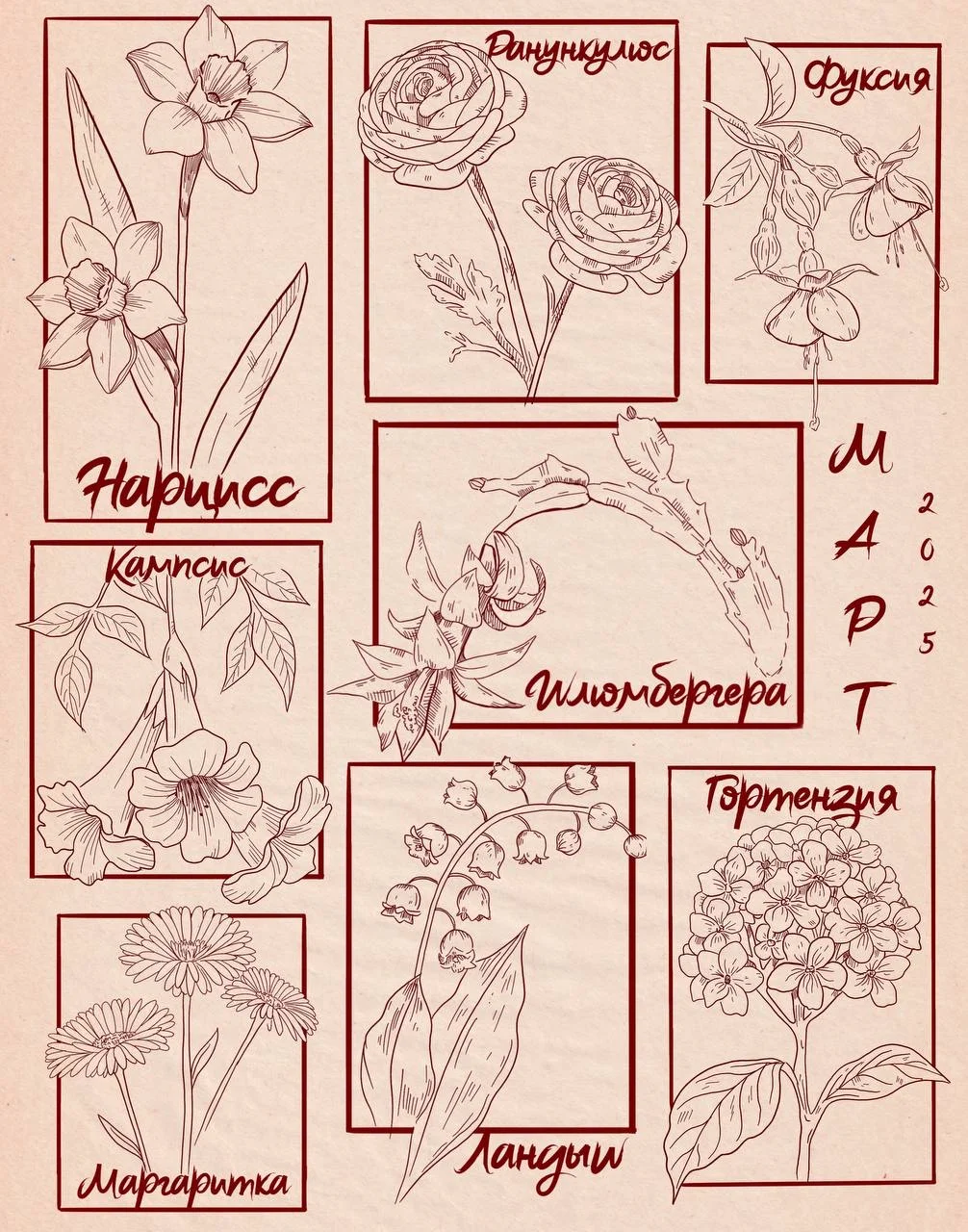 художник-иллюстратор - миниатюра 4