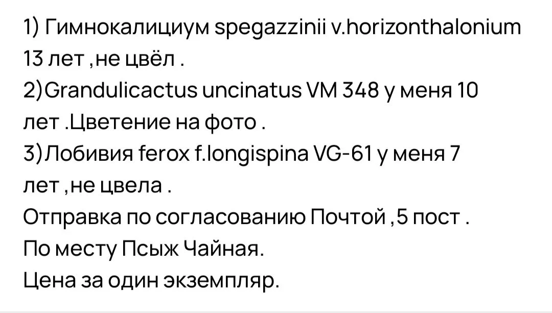 Кактусы коллекционные - миниатюра 6