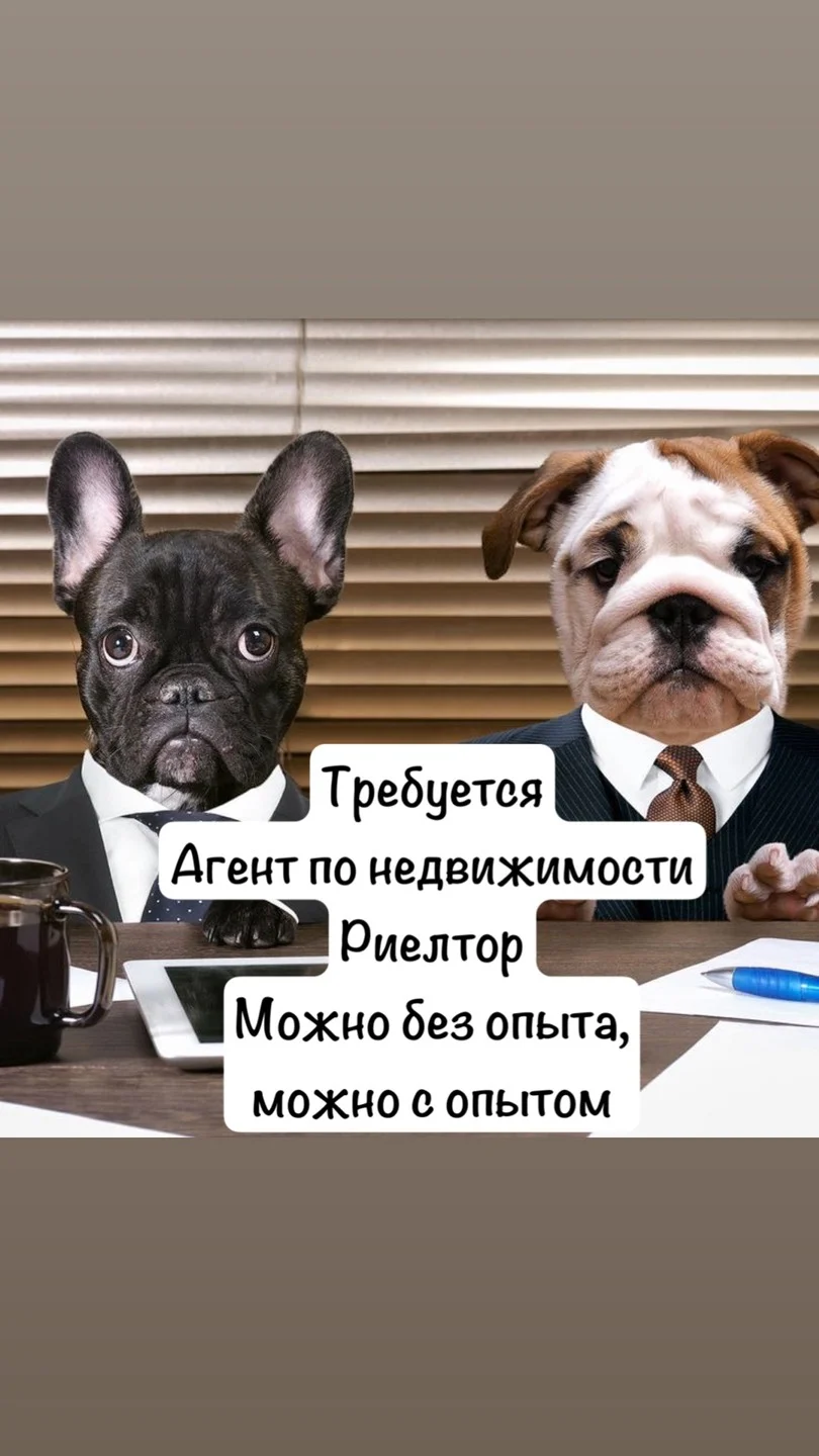 Вакансия риелтор/агент по недвижимости в агентство Санкт-Петербург - изображение 1