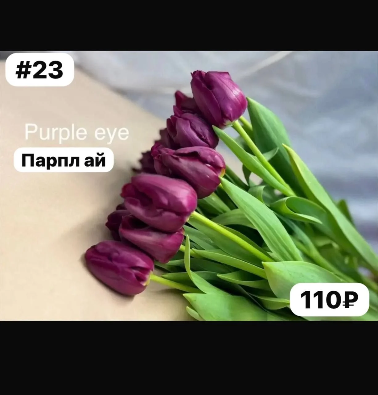 Луковицы тюльпанов - миниатюра 12
