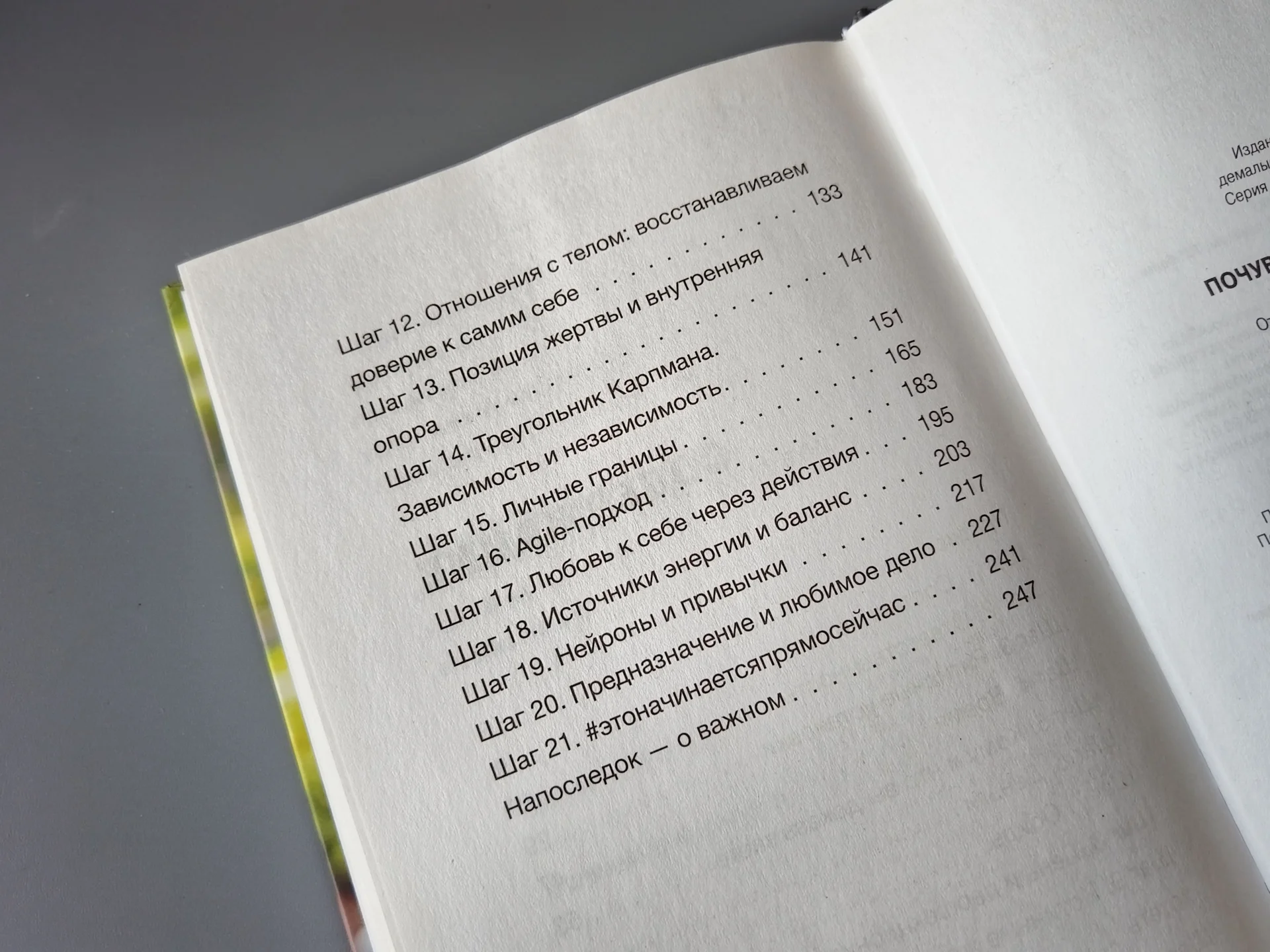 Книги Лилия Нилова - миниатюра 8