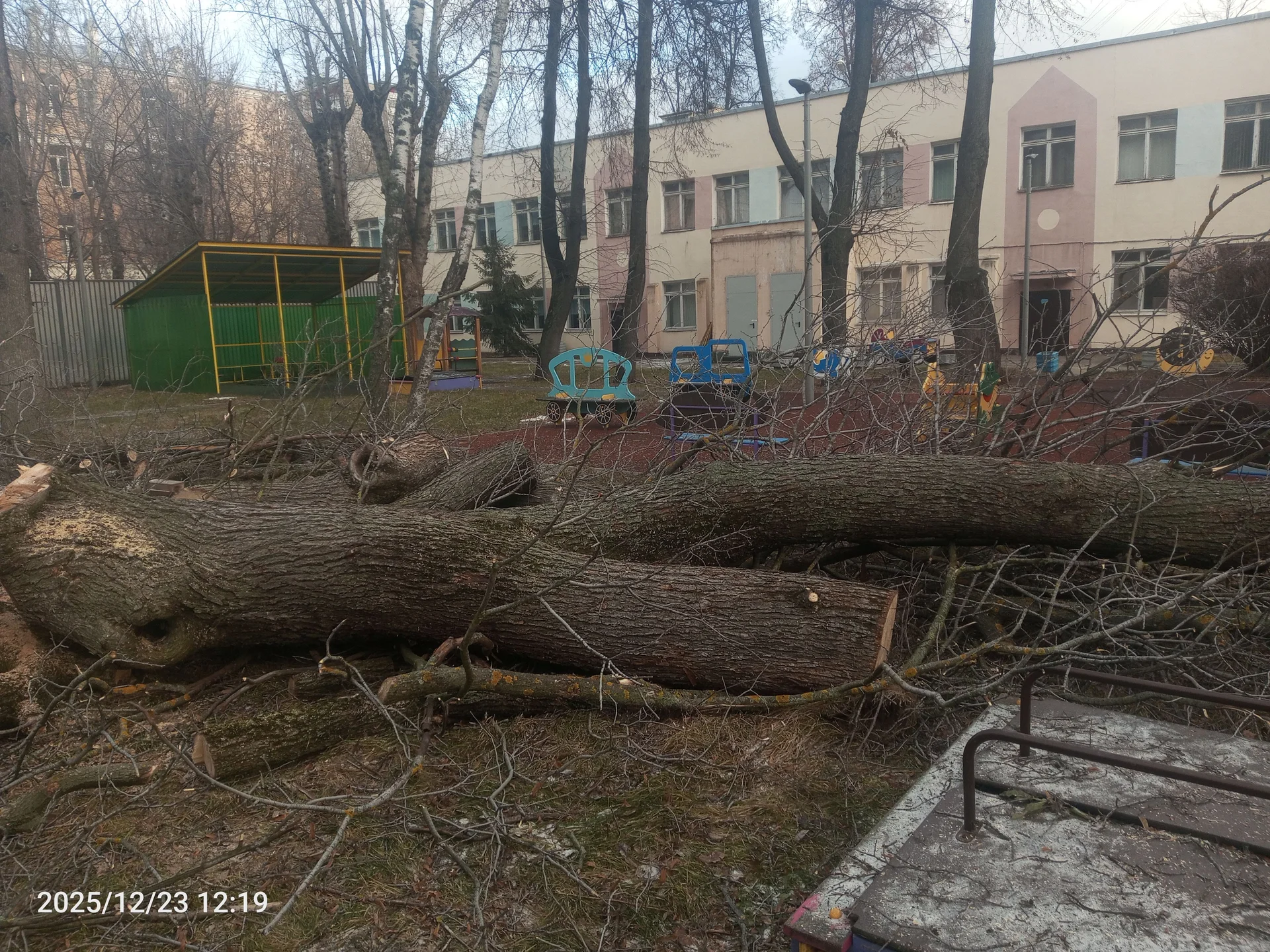 Спил деревьев безопасно - миниатюра 8
