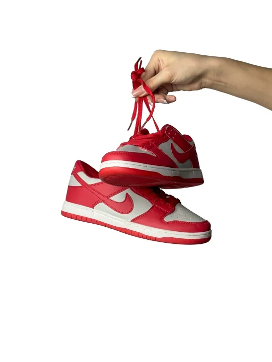 Мужские кроссовки Nike Dunk "Gym Red" - миниатюра 2