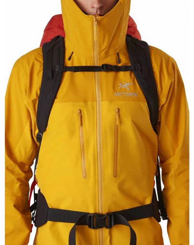 Куртка ARCTERYX Alpha AR - миниатюра 3
