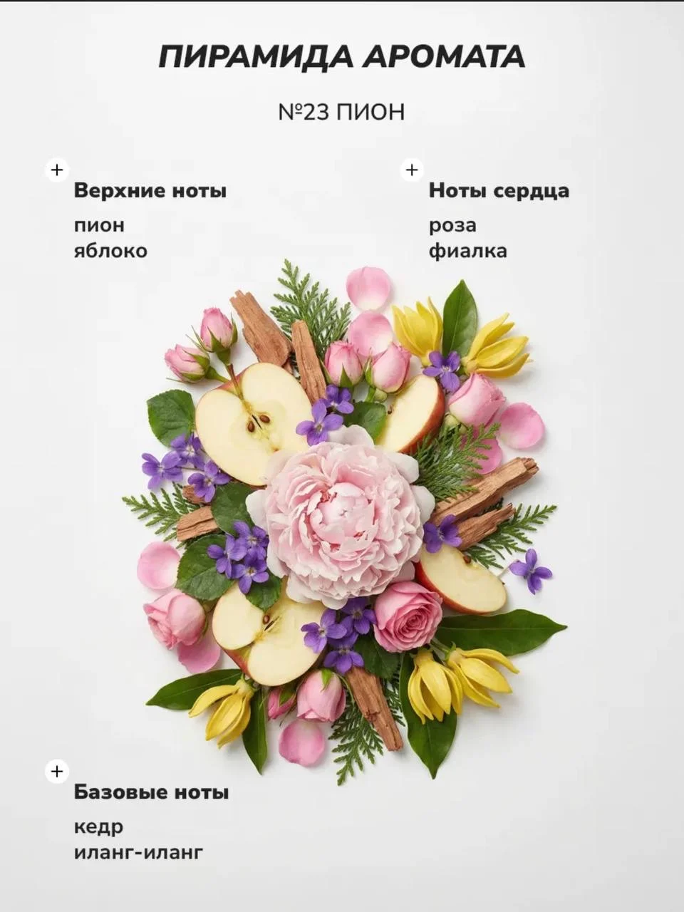 Диффузор новый пион clean - миниатюра 4