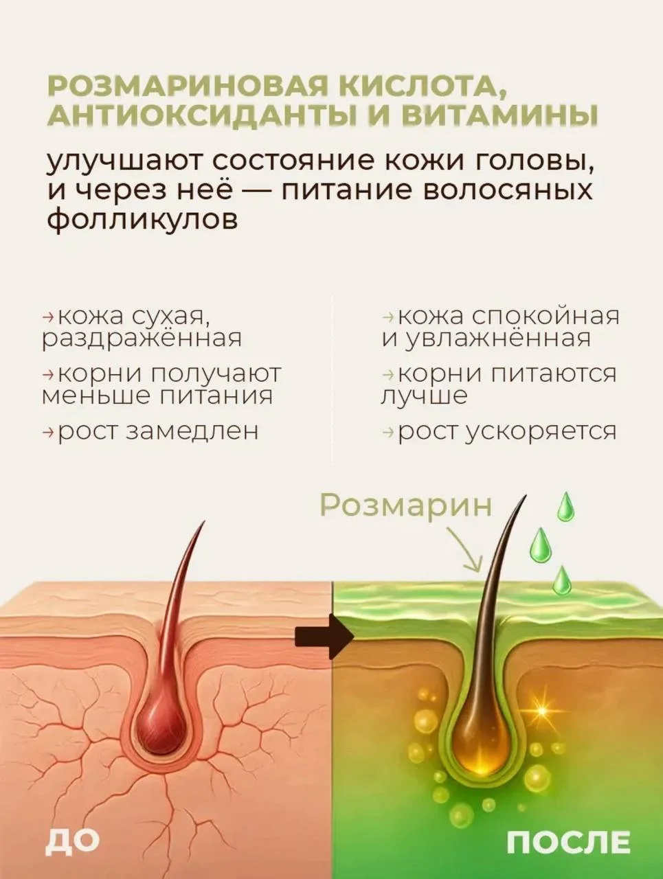 Тоник бизорюк новый для волос - миниатюра 5