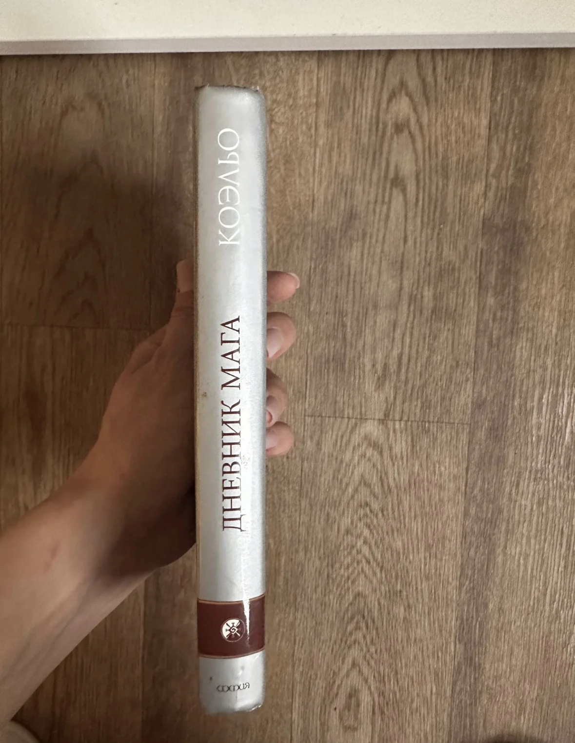 Книга «дневник мага» - миниатюра 3