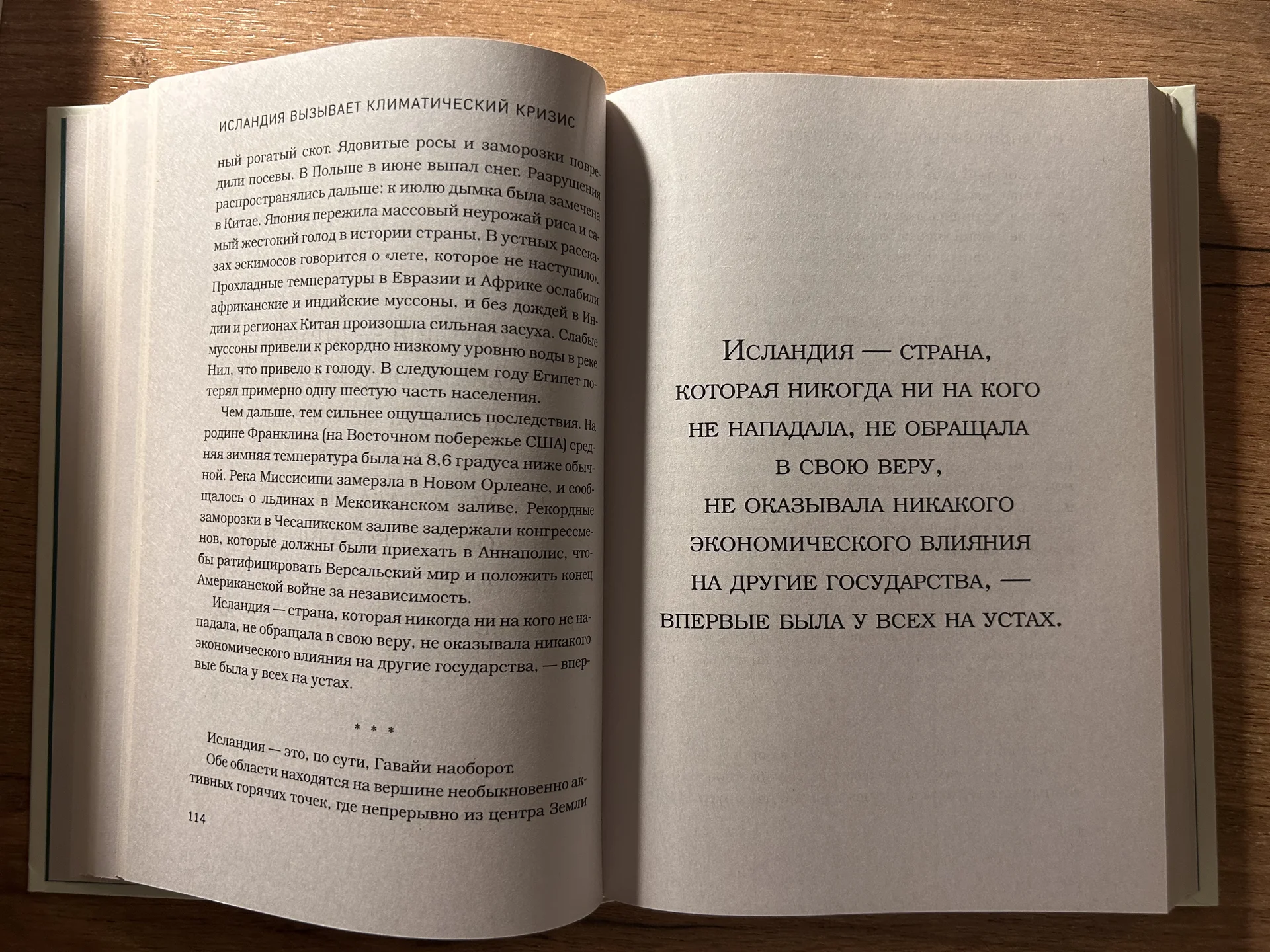Книга - миниатюра 2