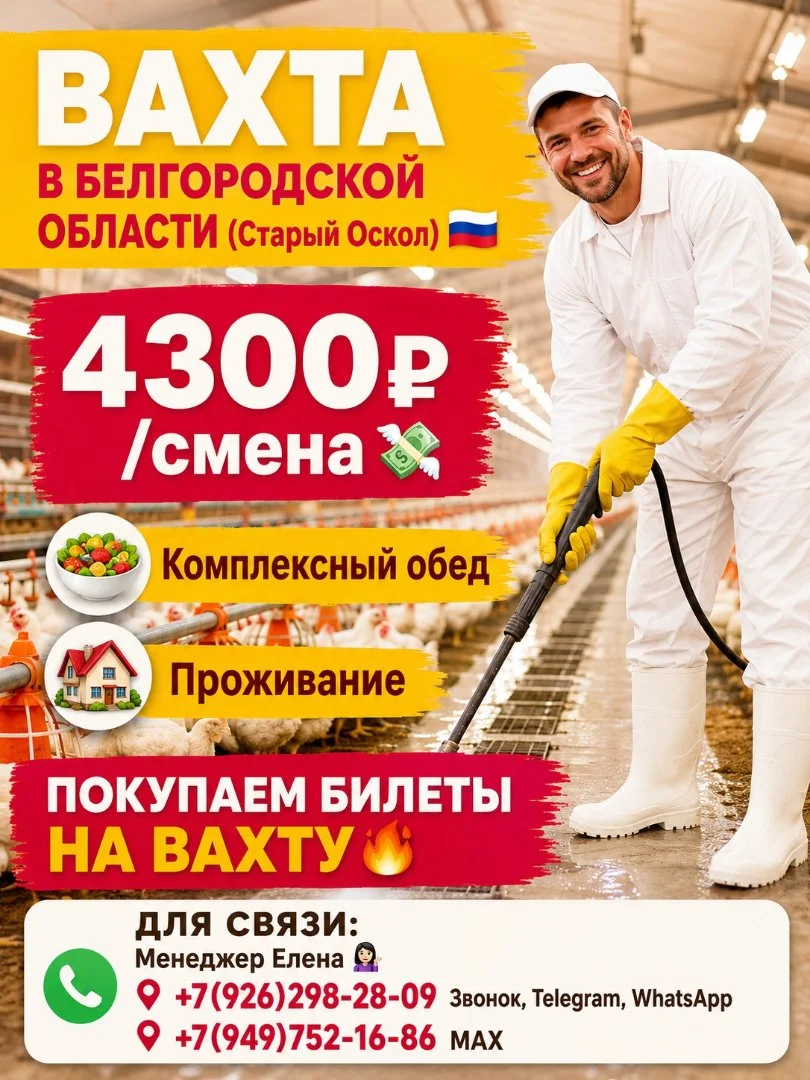 Мойщики птичника на птицефабрике,вахта с проживанием,питанием,покупка билета - изображение 1