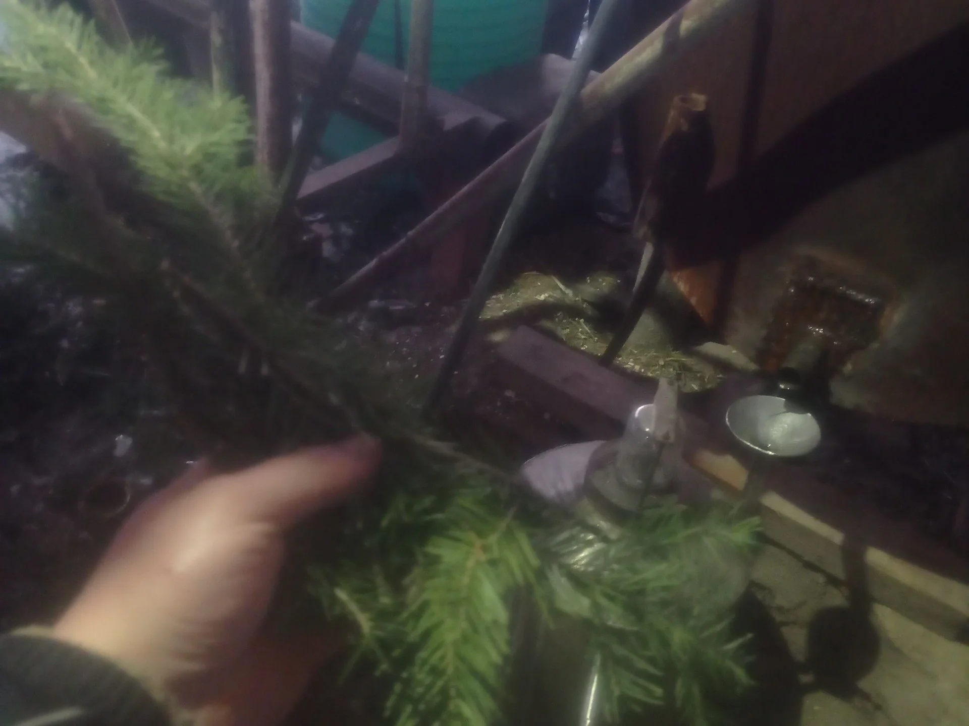 Пихтовое масло - изображение 1