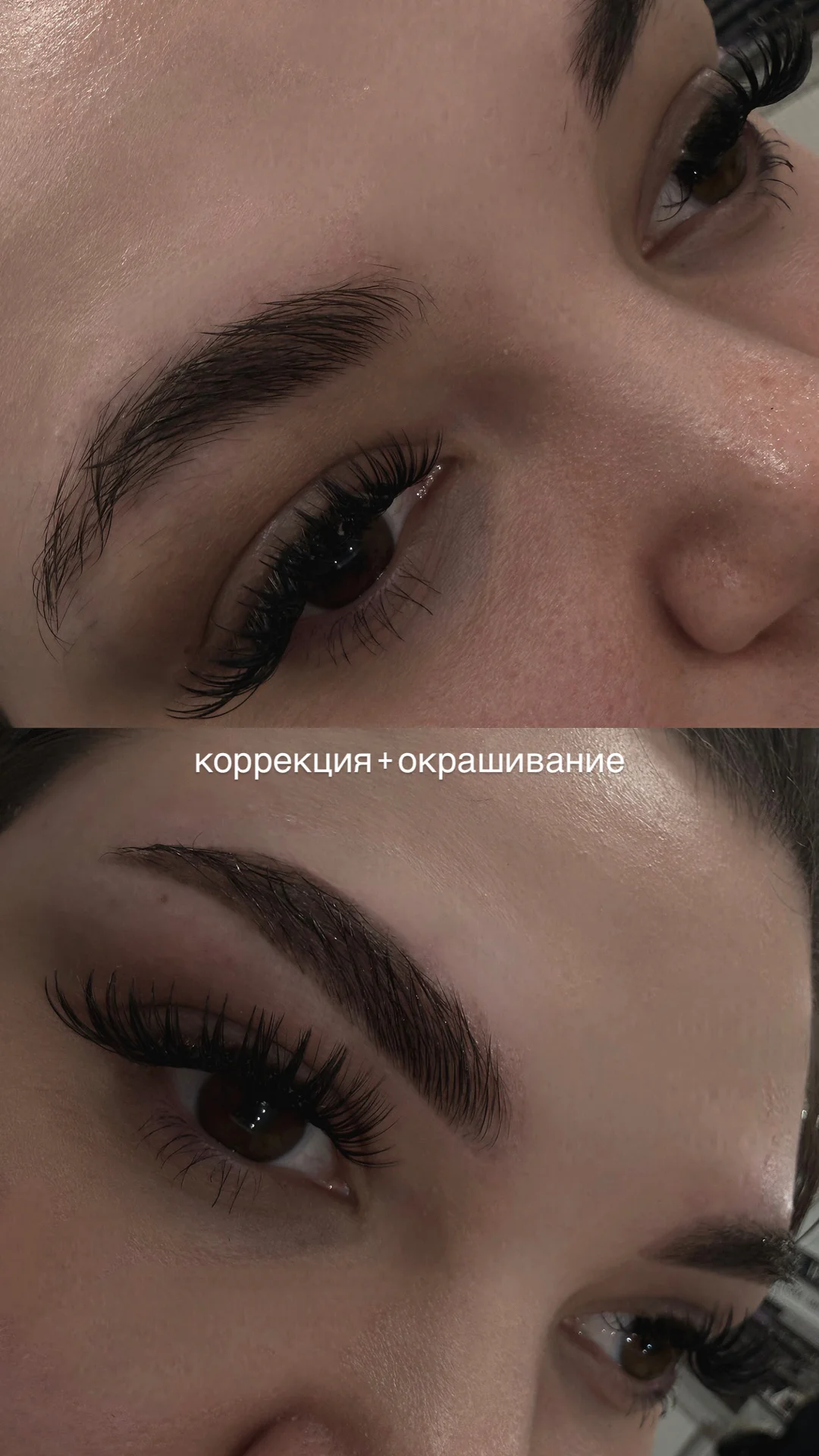 Бровист - миниатюра 3