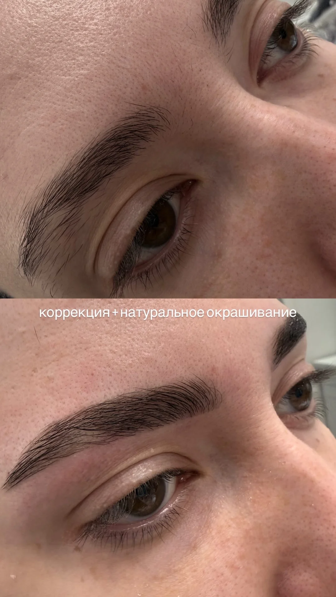 Бровист - миниатюра 4