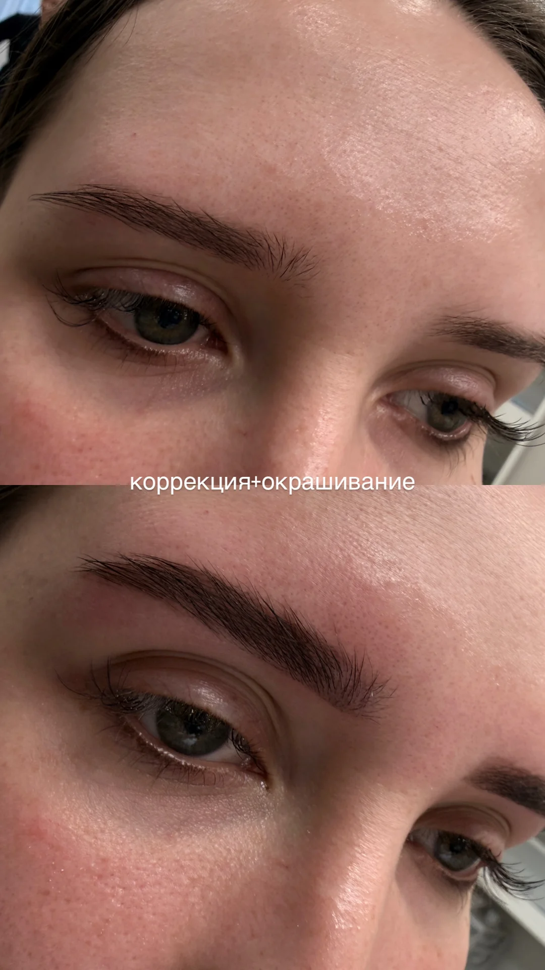 Бровист - миниатюра 6