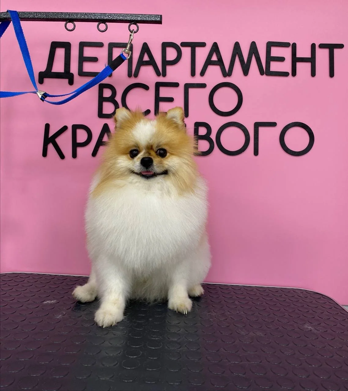 Грумер , груминг - миниатюра 7