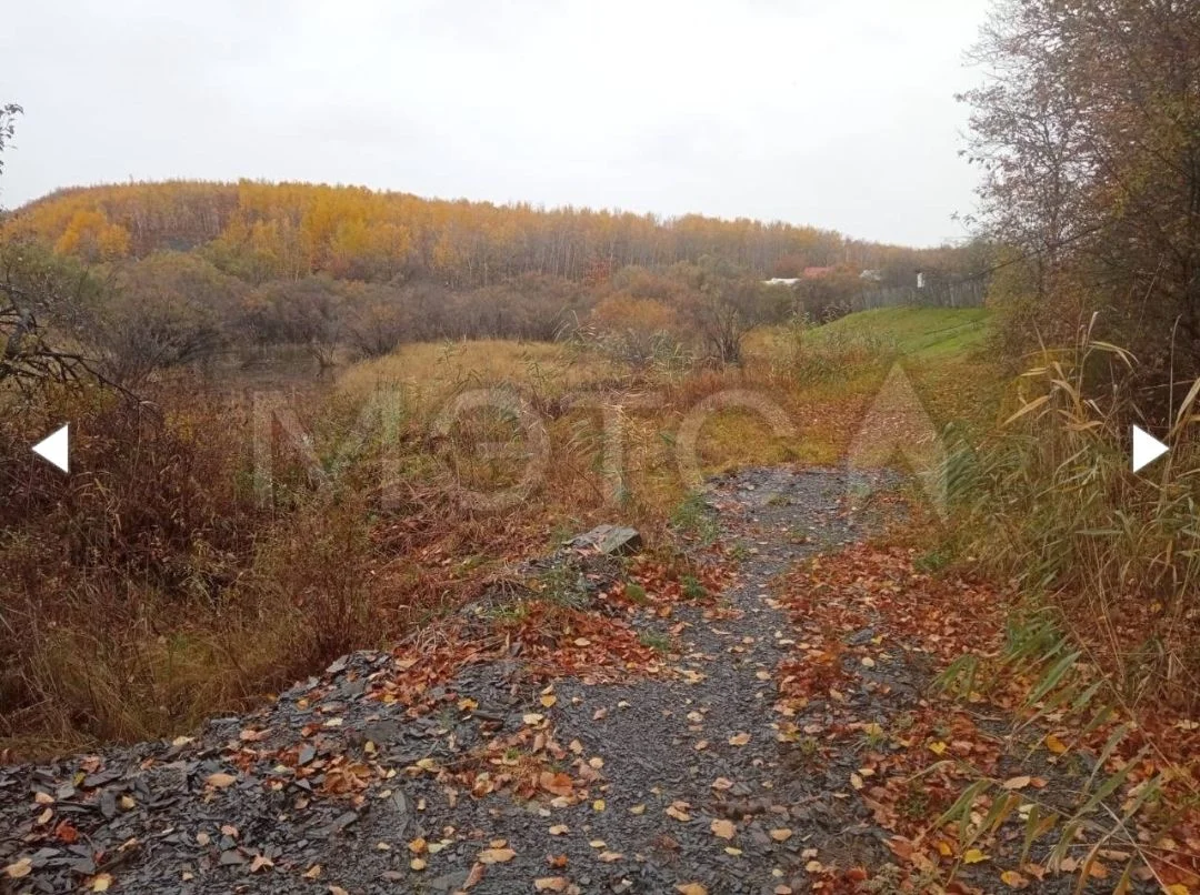 Живописная дача вблизи Амурска - миниатюра 14