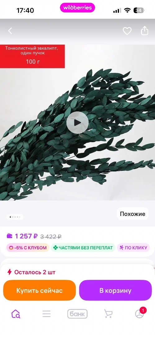 Сухоцветы - изображение 1