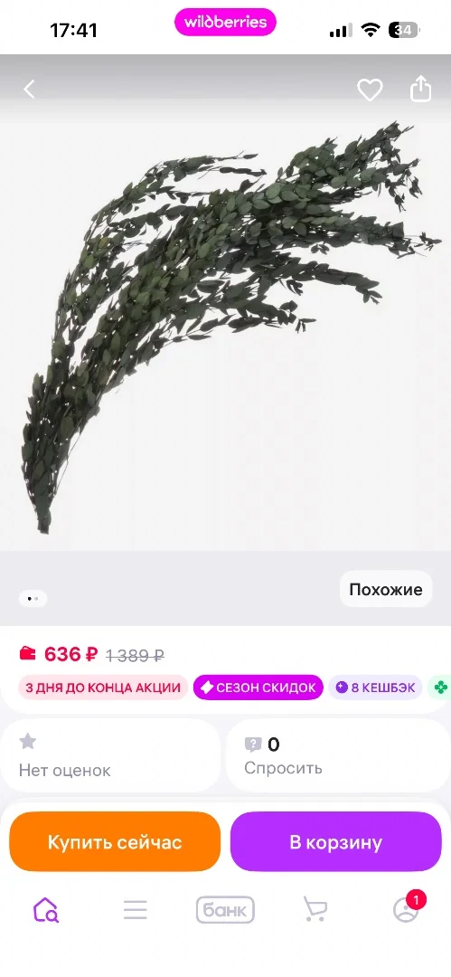 Сухоцветы - миниатюра 2