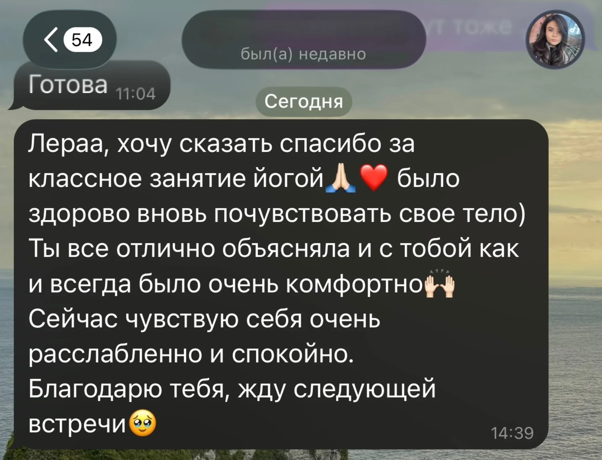 Йога по методологии Fysm - миниатюра 3