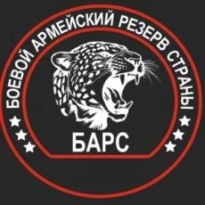 Набор в БАРС г.Москва - изображение 1