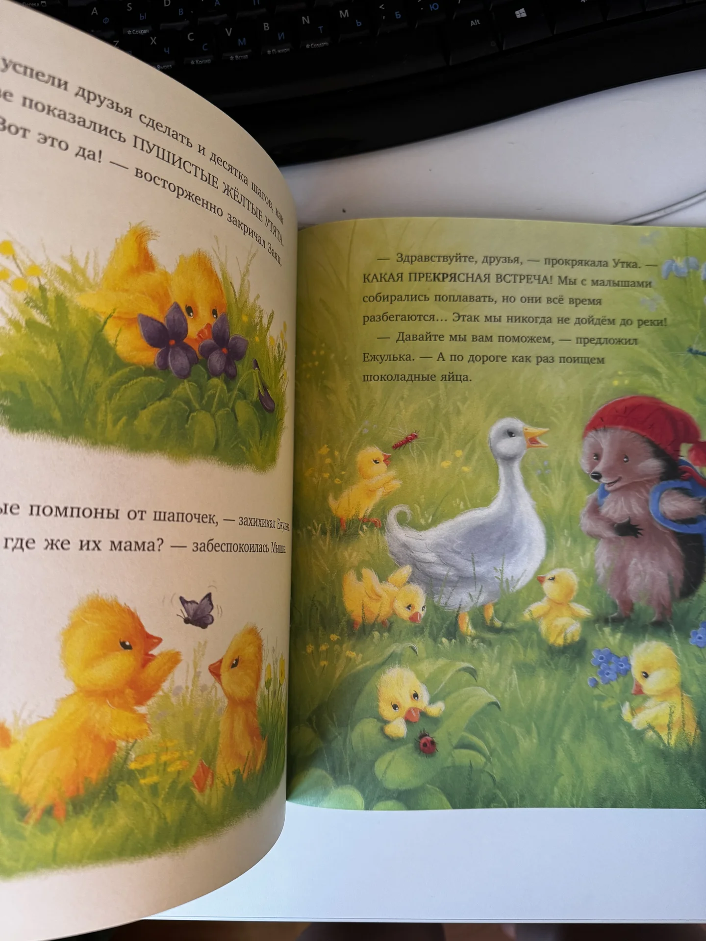 Книга 2+ - миниатюра 3