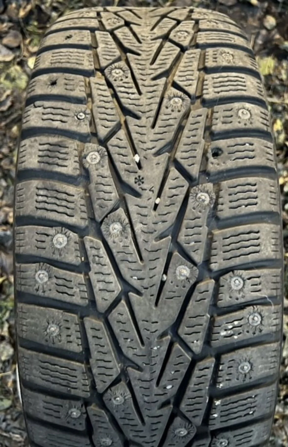 Колёса Субару nokian hakapelitta 7 205/55/r16 - миниатюра 3