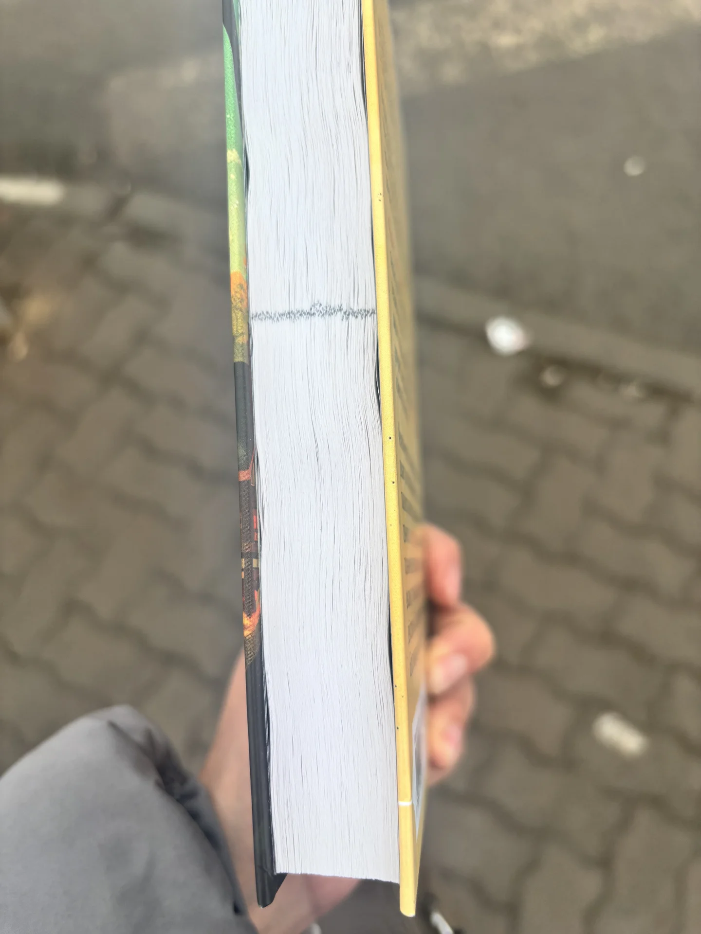 Книга убийства и кексики - миниатюра 3