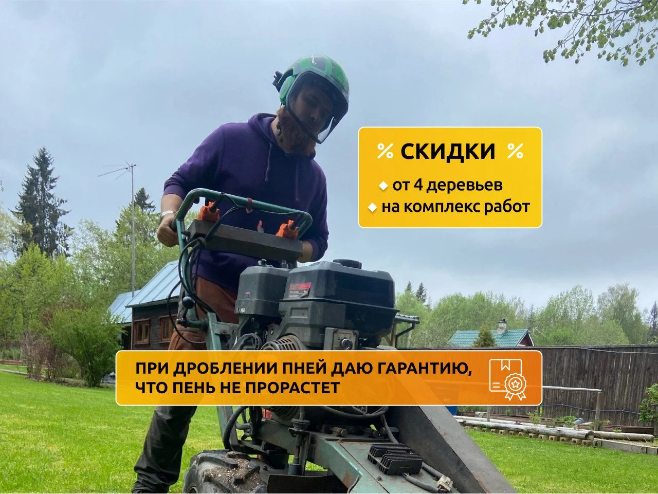 Спил деревьев - миниатюра 8