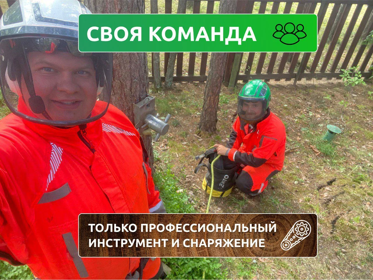 Спил деревьев - миниатюра 9