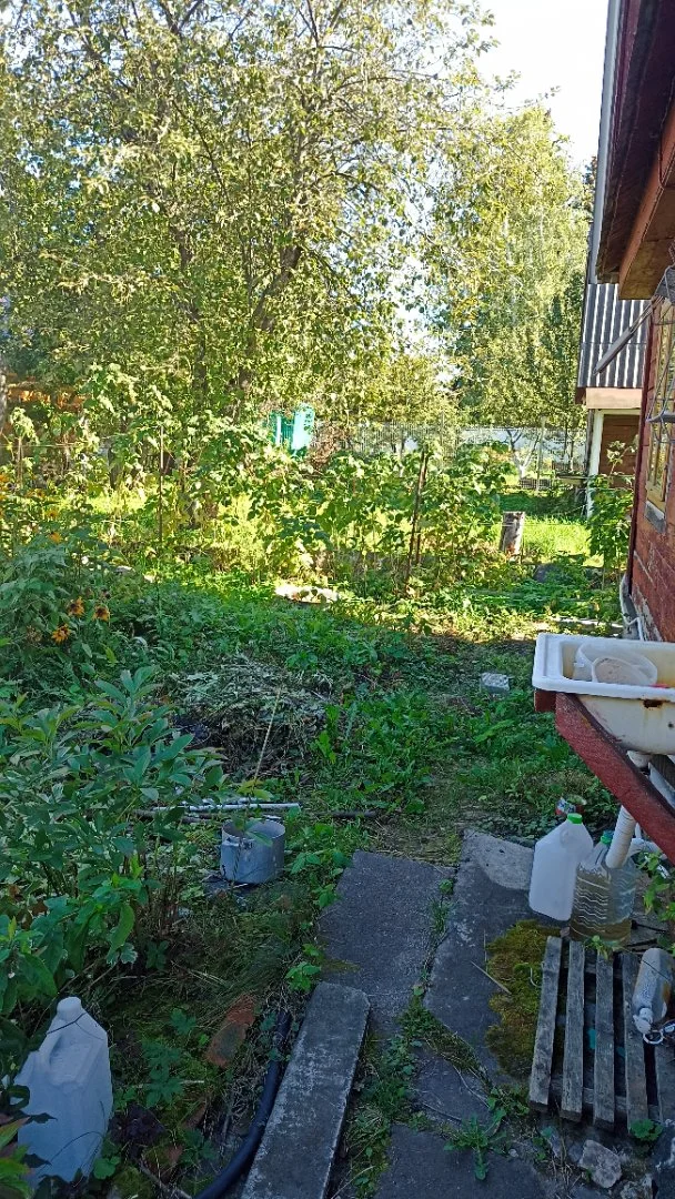 Продаю дачный домик - миниатюра 14