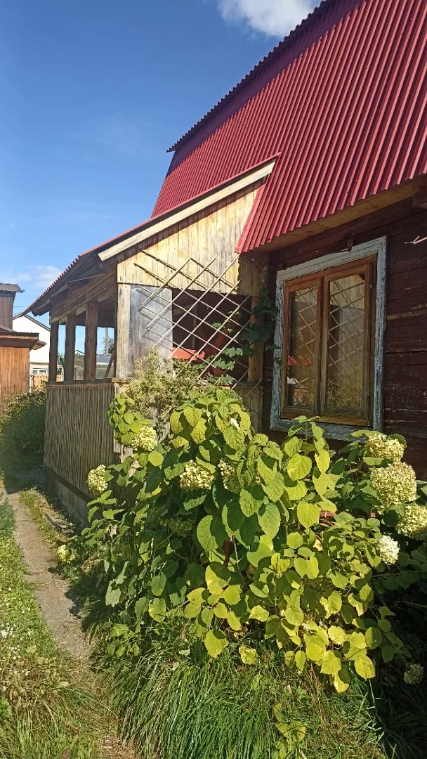 Продаю дачный домик - миниатюра 16