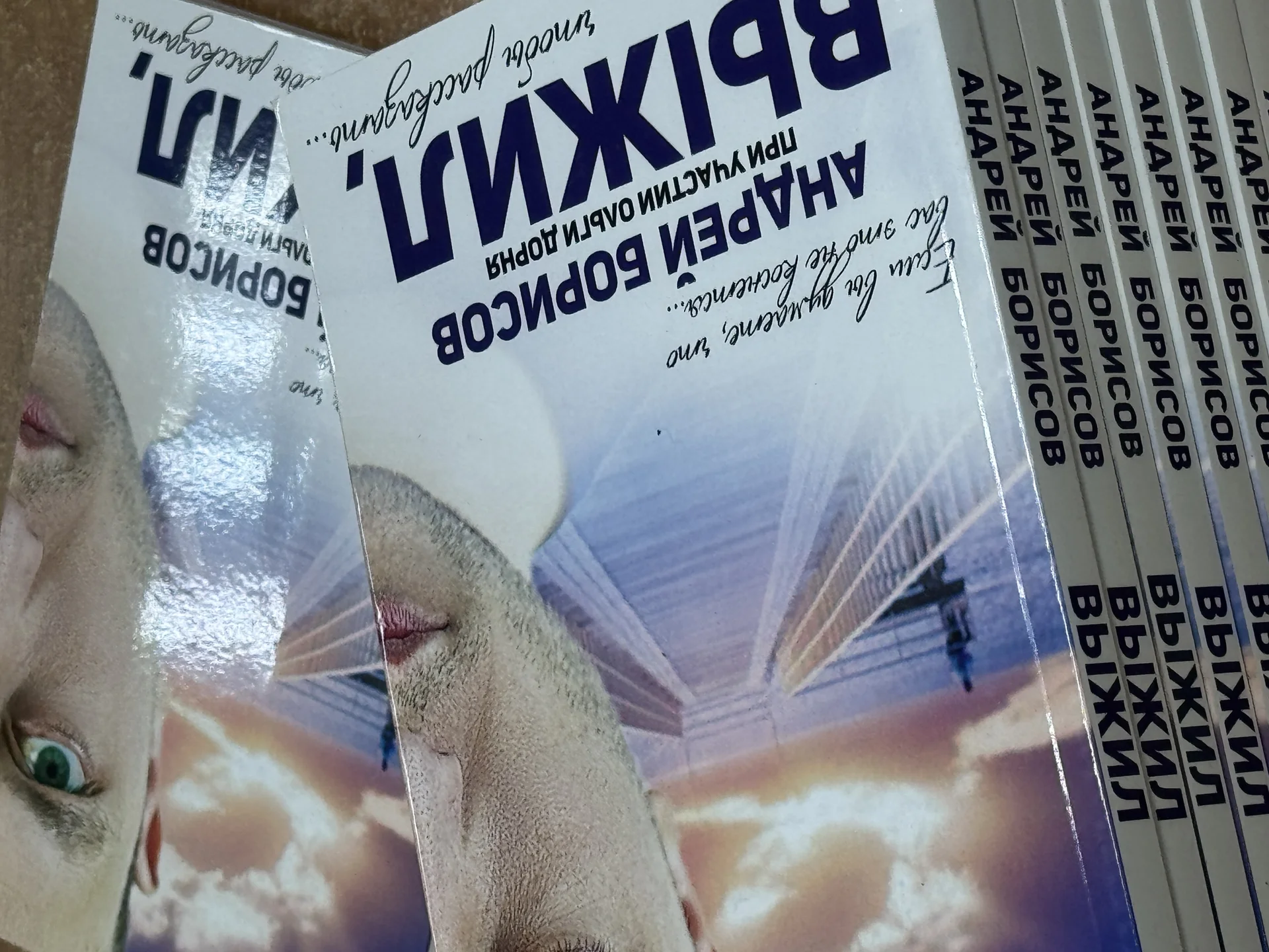 Книга «Выжил» Автор Андрей Борисов - миниатюра 4