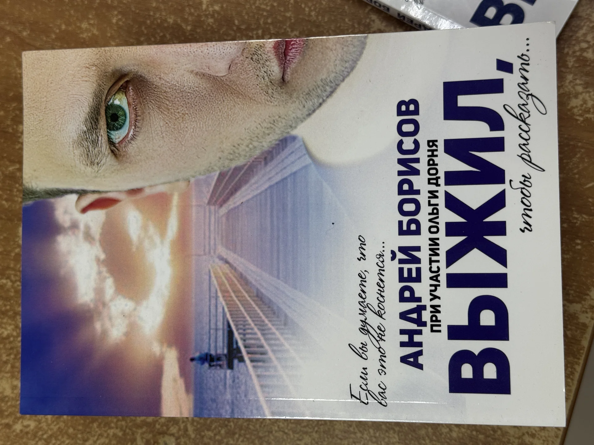 Книга «Выжил» Автор Андрей Борисов - миниатюра 5