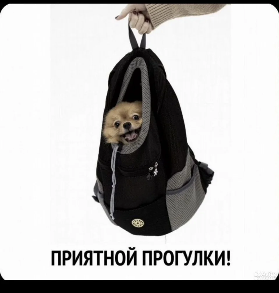 Рюкзак-переноска для собак и кошек - миниатюра 4