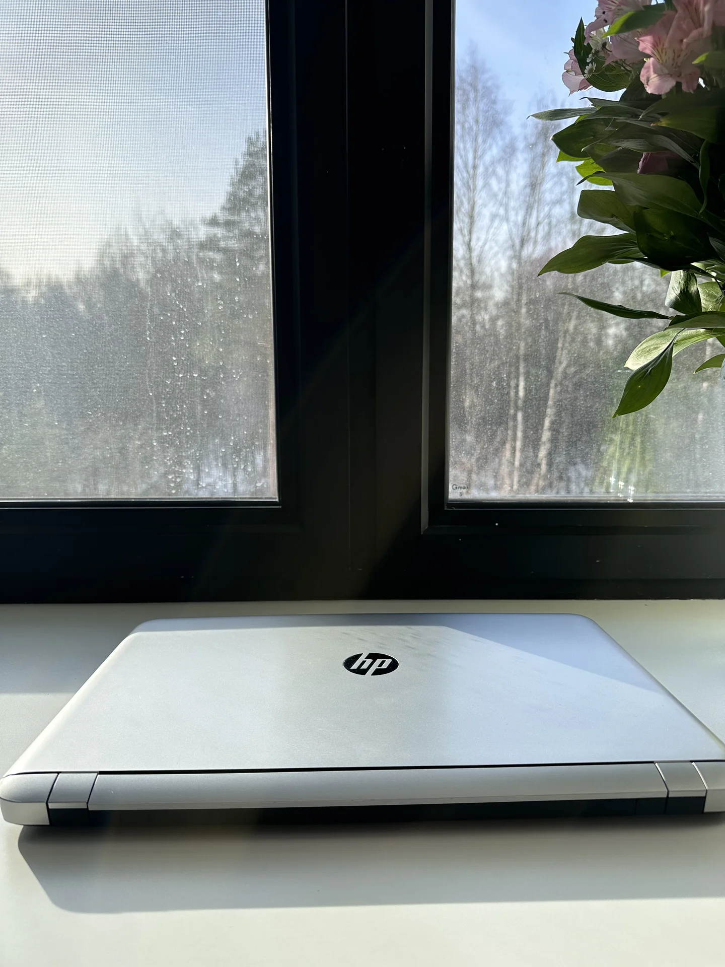 Ноутбук HP - миниатюра 7