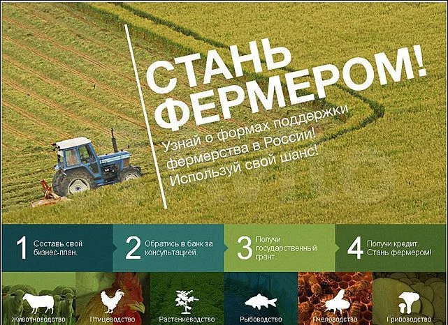 Земля в п. Красный Яр, 2.8 Га в собственности - миниатюра 2