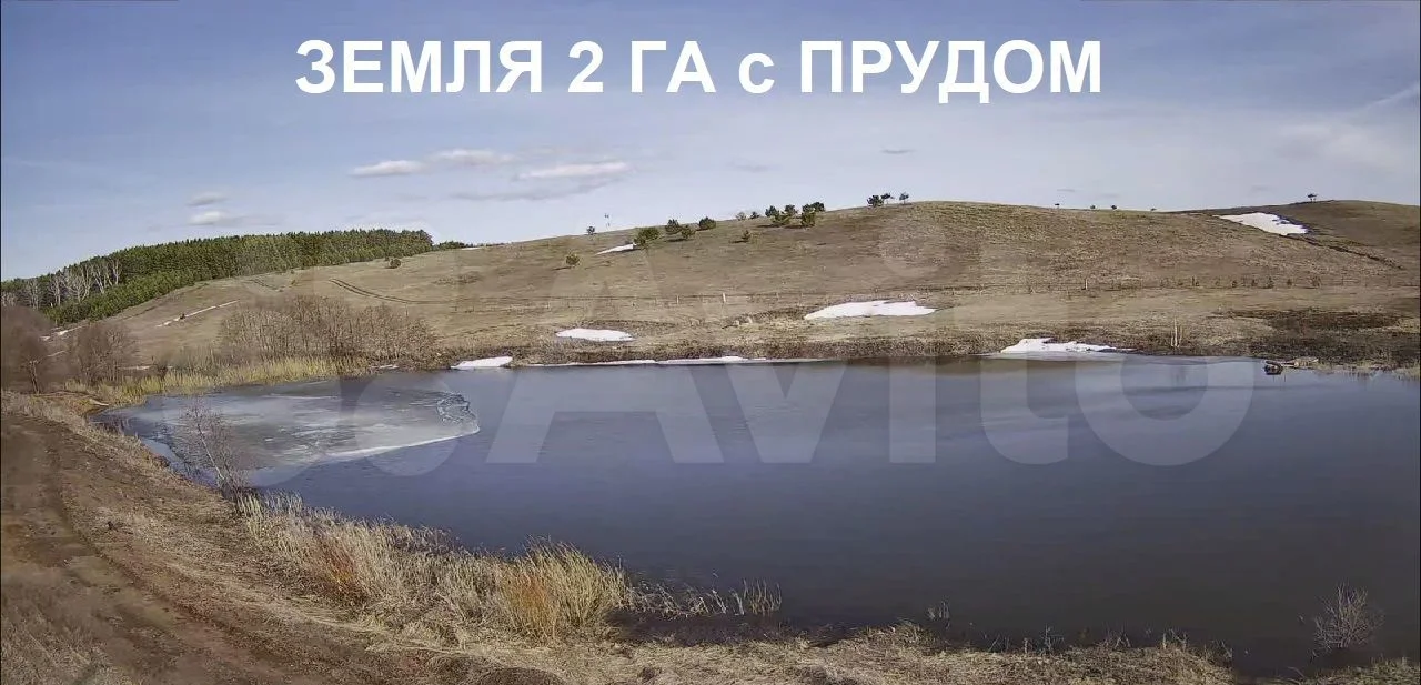 Земля с прудом в с. Еремеево, 2 Га в собственности - изображение 1