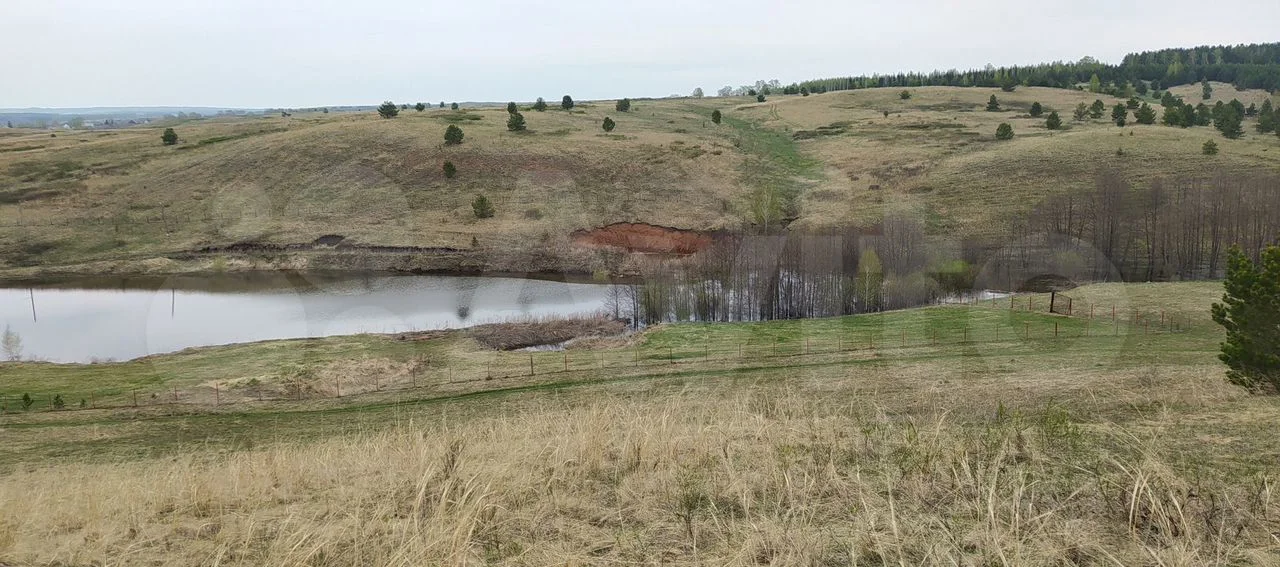 Земля с прудом в с. Еремеево, 2 Га в собственности - миниатюра 5